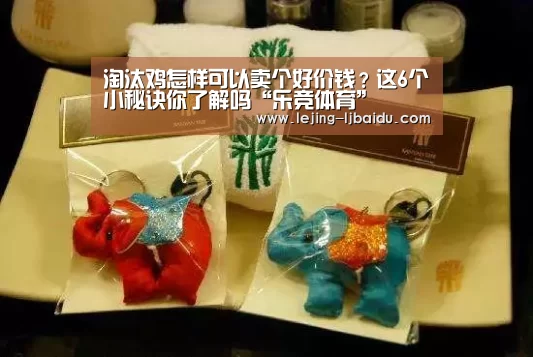 淘汰鸡怎样可以卖个好价钱?这6个小秘诀你了解吗“乐竞体育”